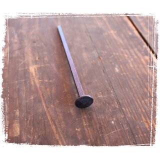 Schmiedenägel, 100 mm (10 Stk.)