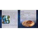 Ritual Kochbuch - Traditionelle und magische Küchenschätze